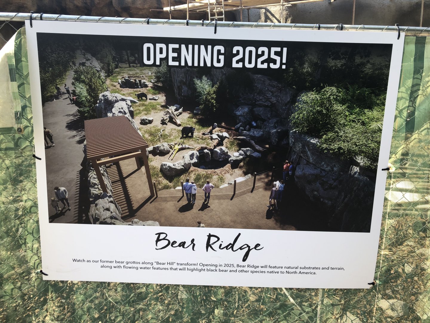 Bear Ridge Rendering