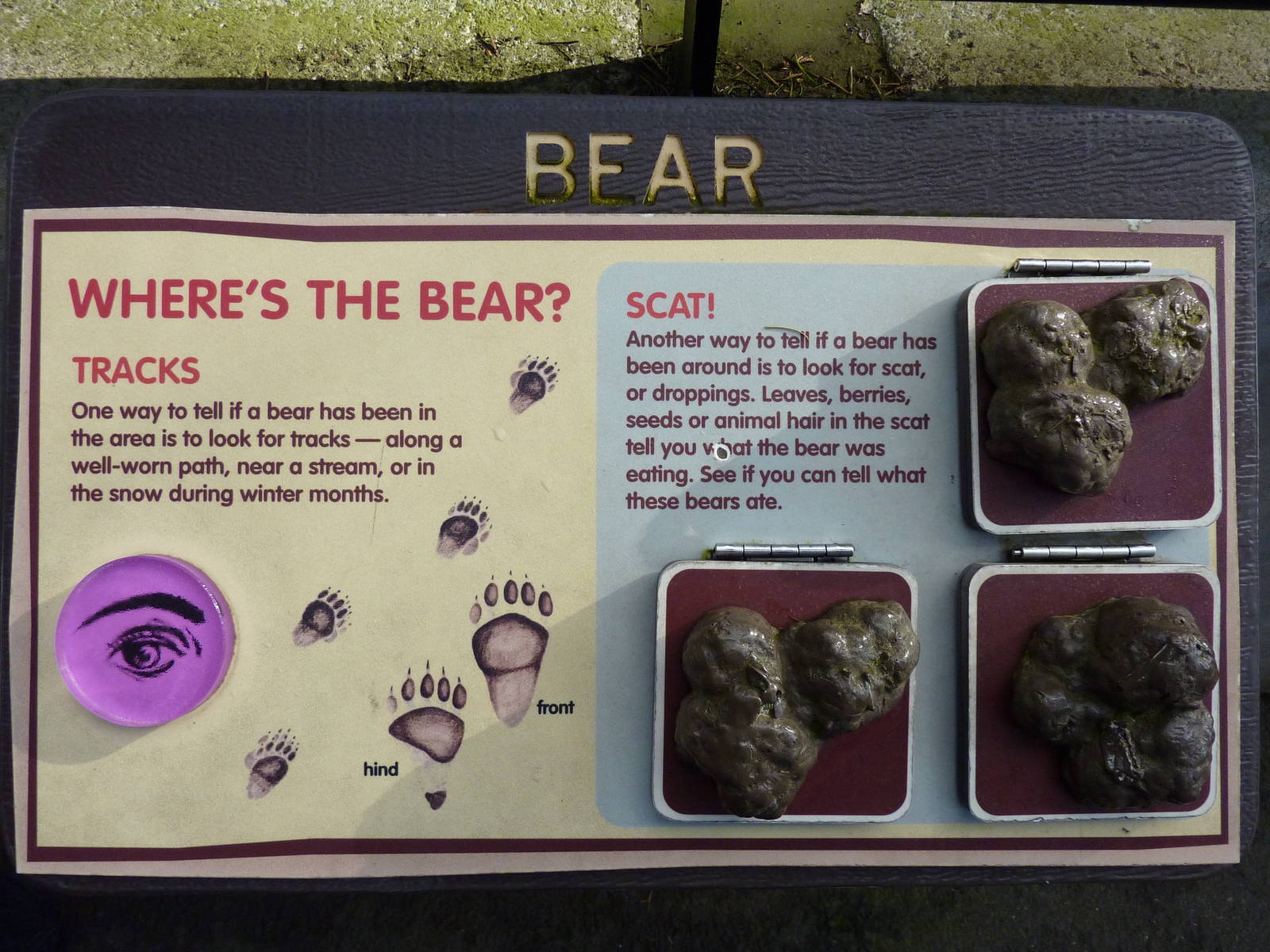 Bear Scat Sign