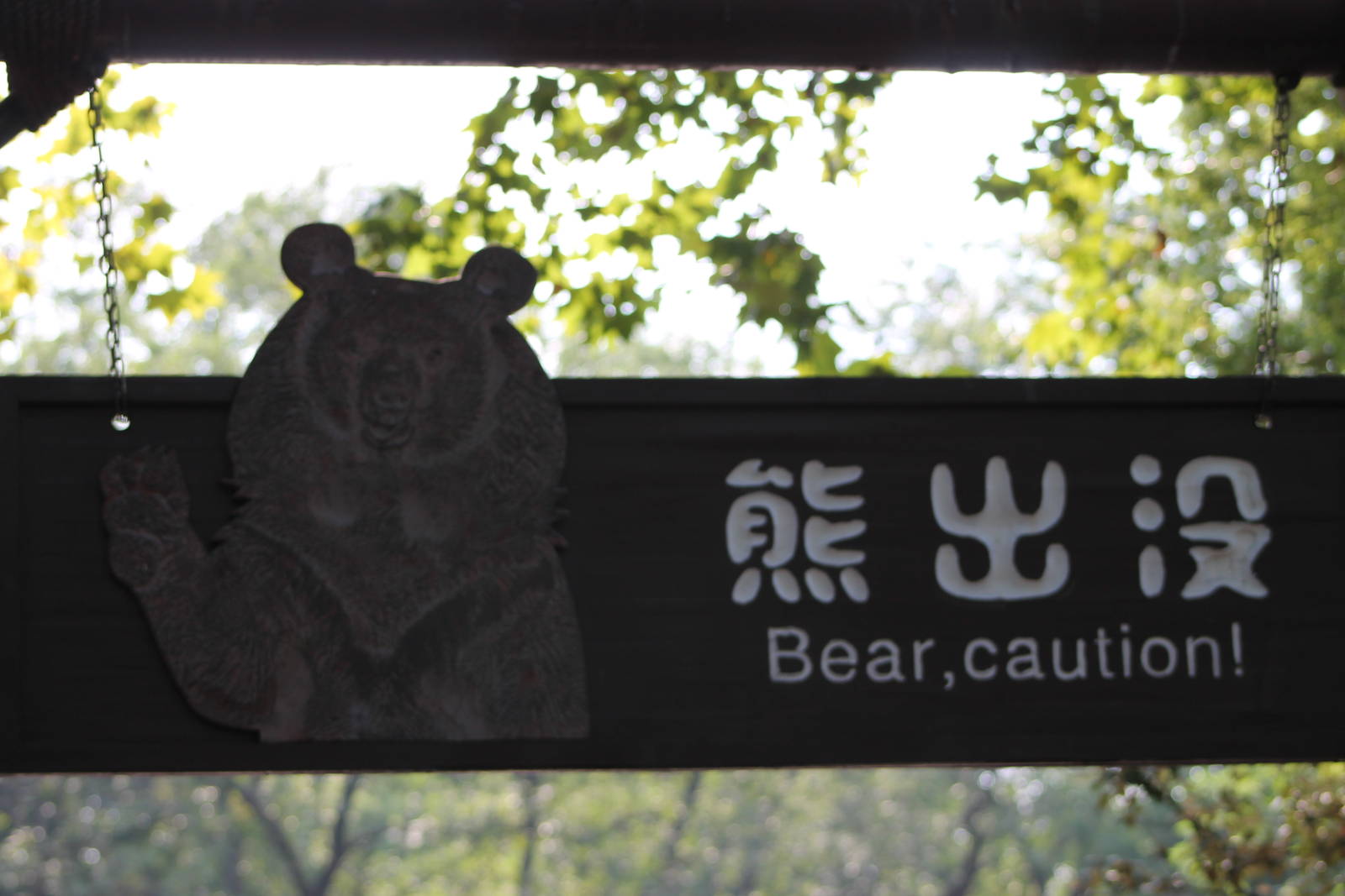 bear sign