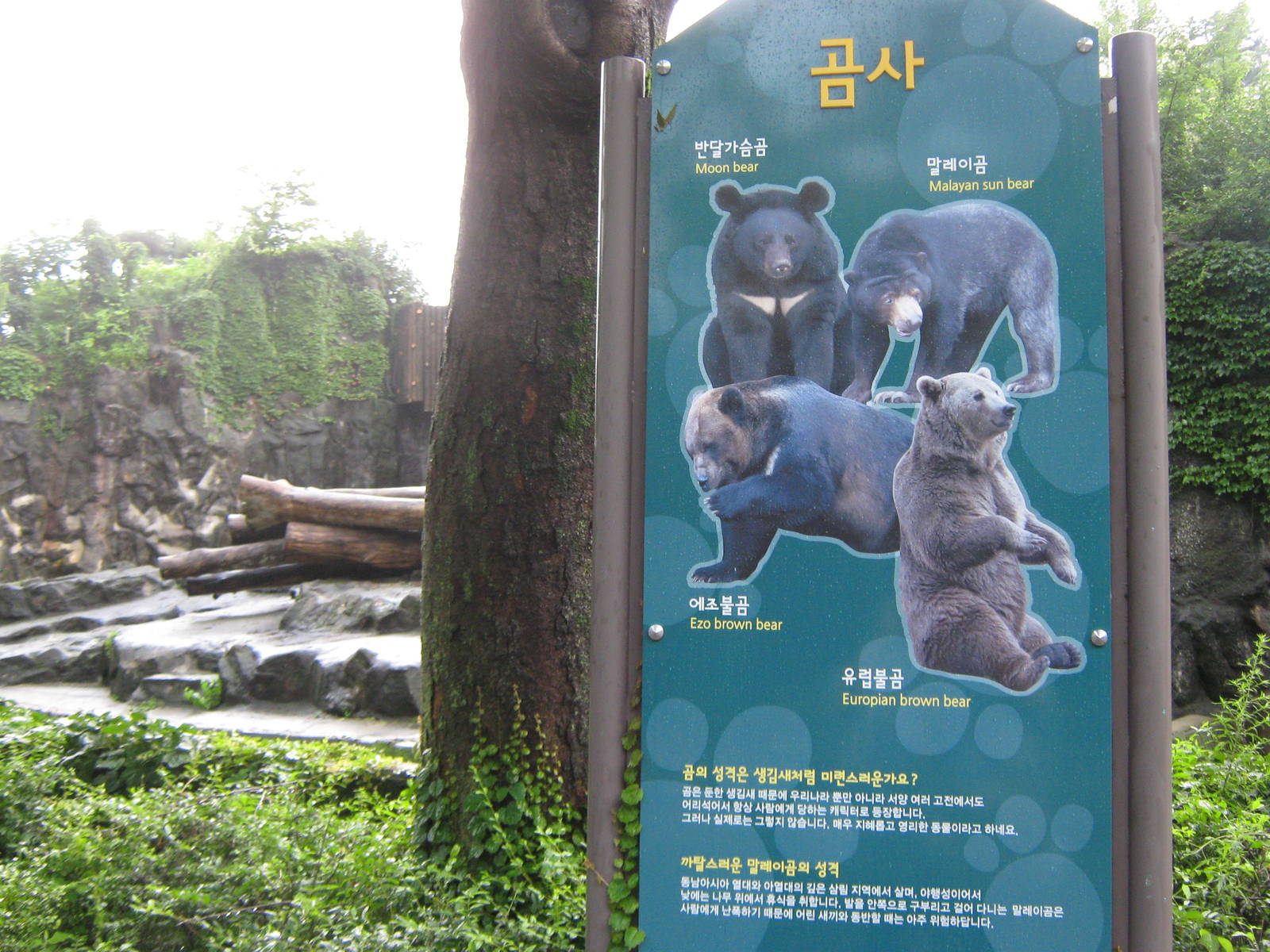bear signage