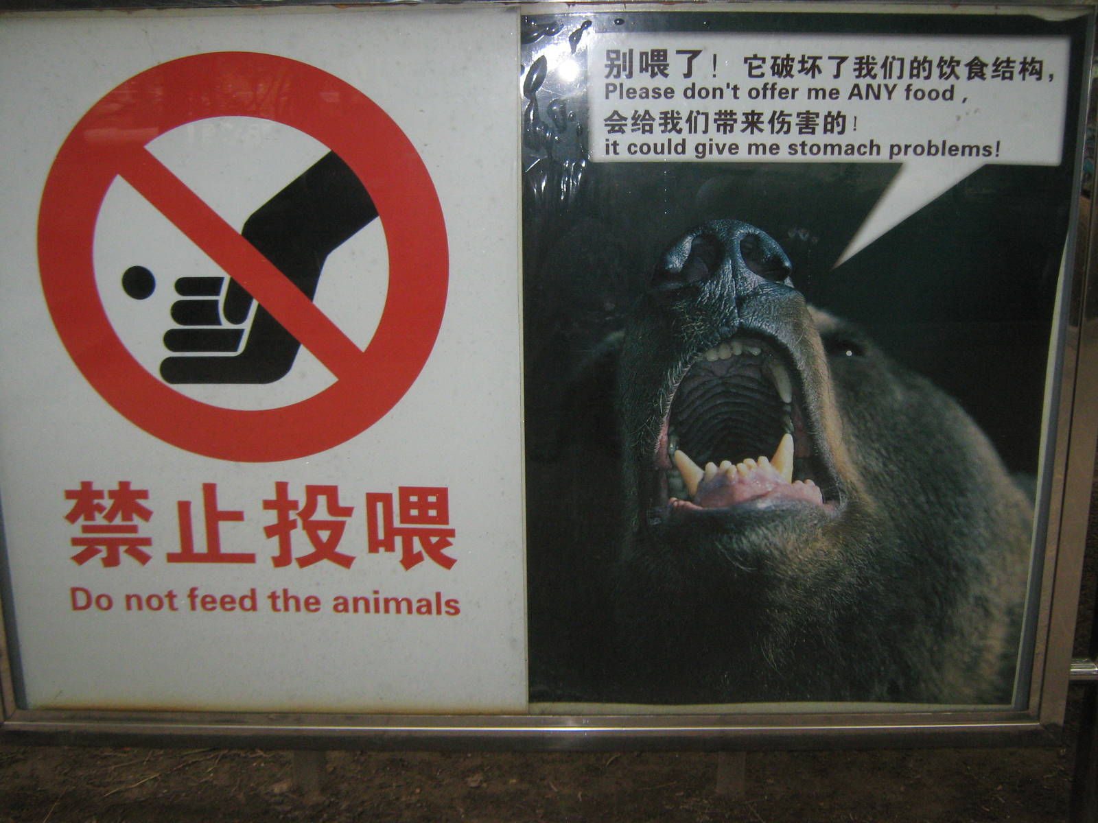 bear signage
