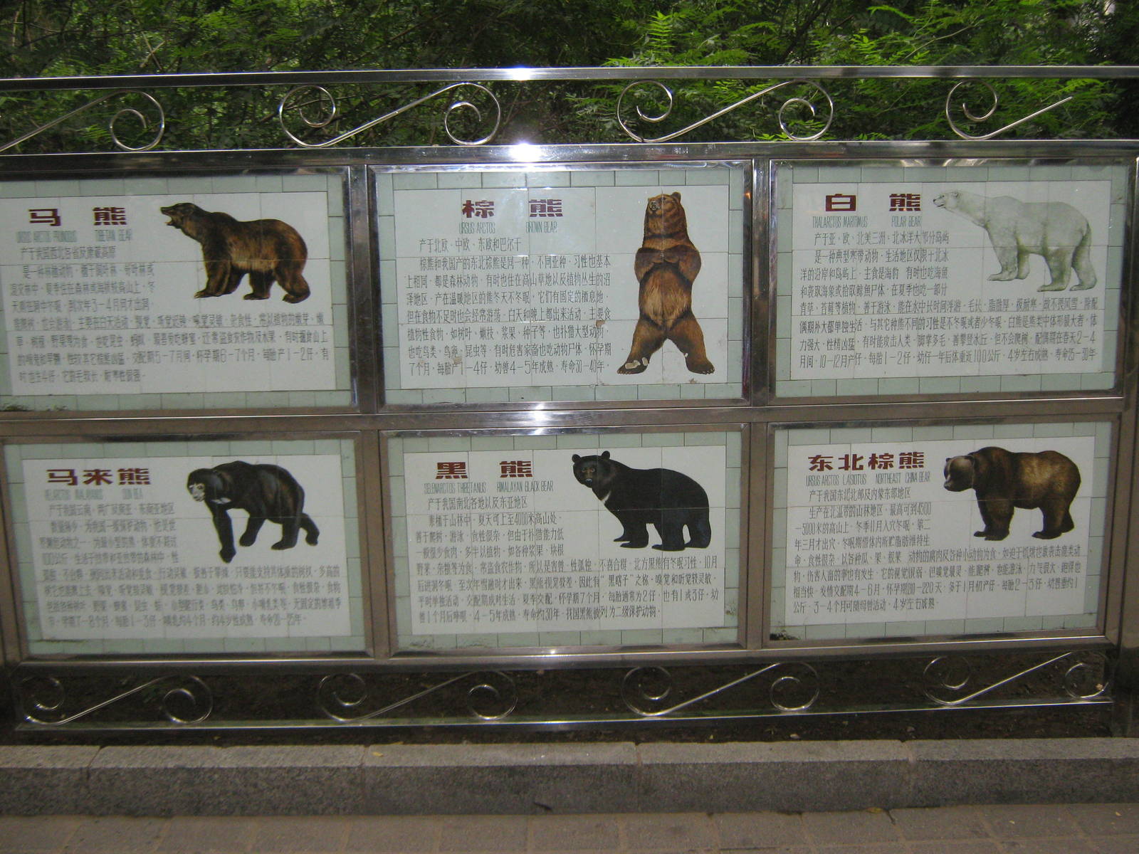 bear signage