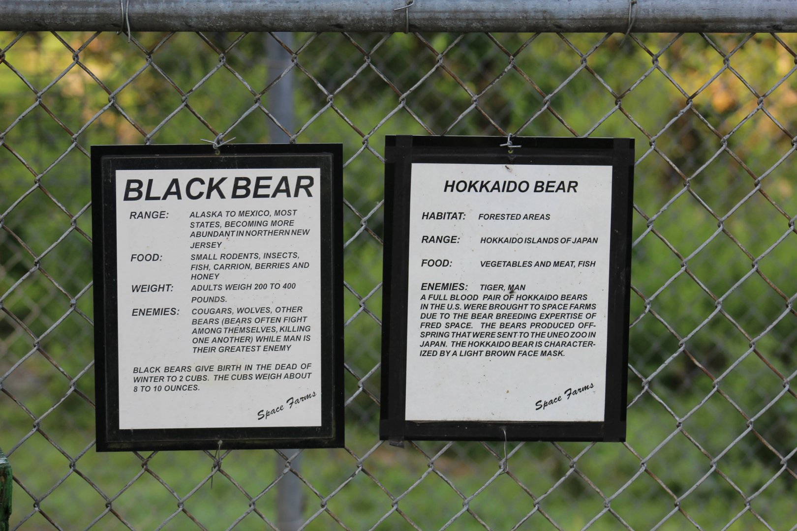 Bear Signage