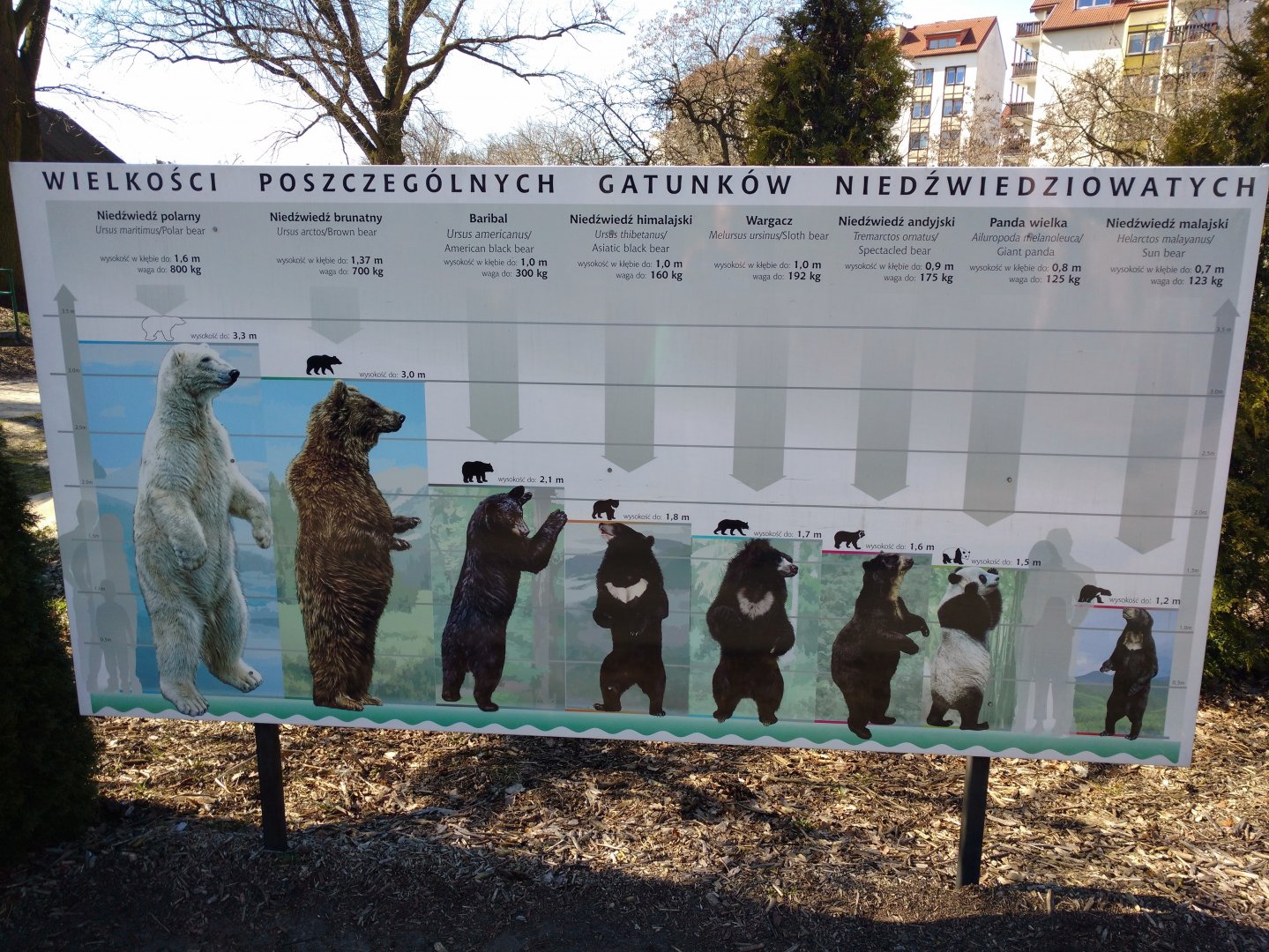 Bear species of the world signage