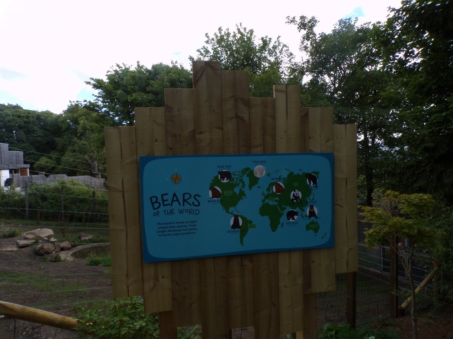 Bear species signage 18.7.25