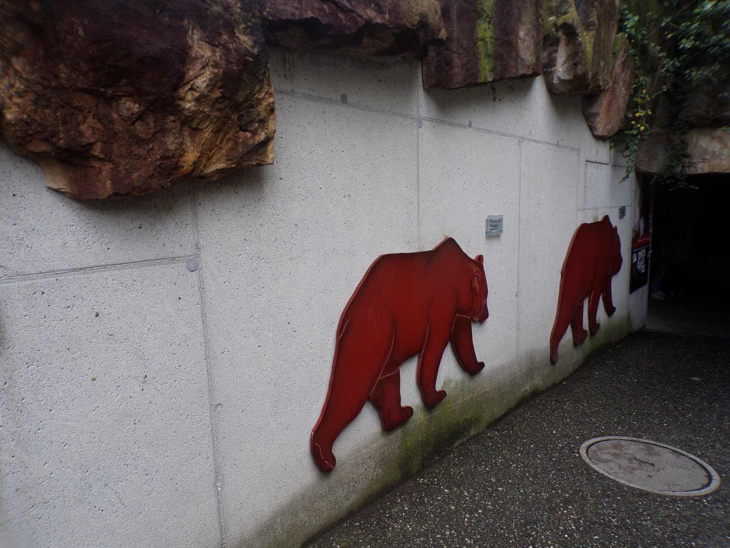 Bear species size comparison signs 9.7.25