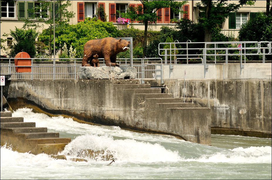 Bear-statue at bern