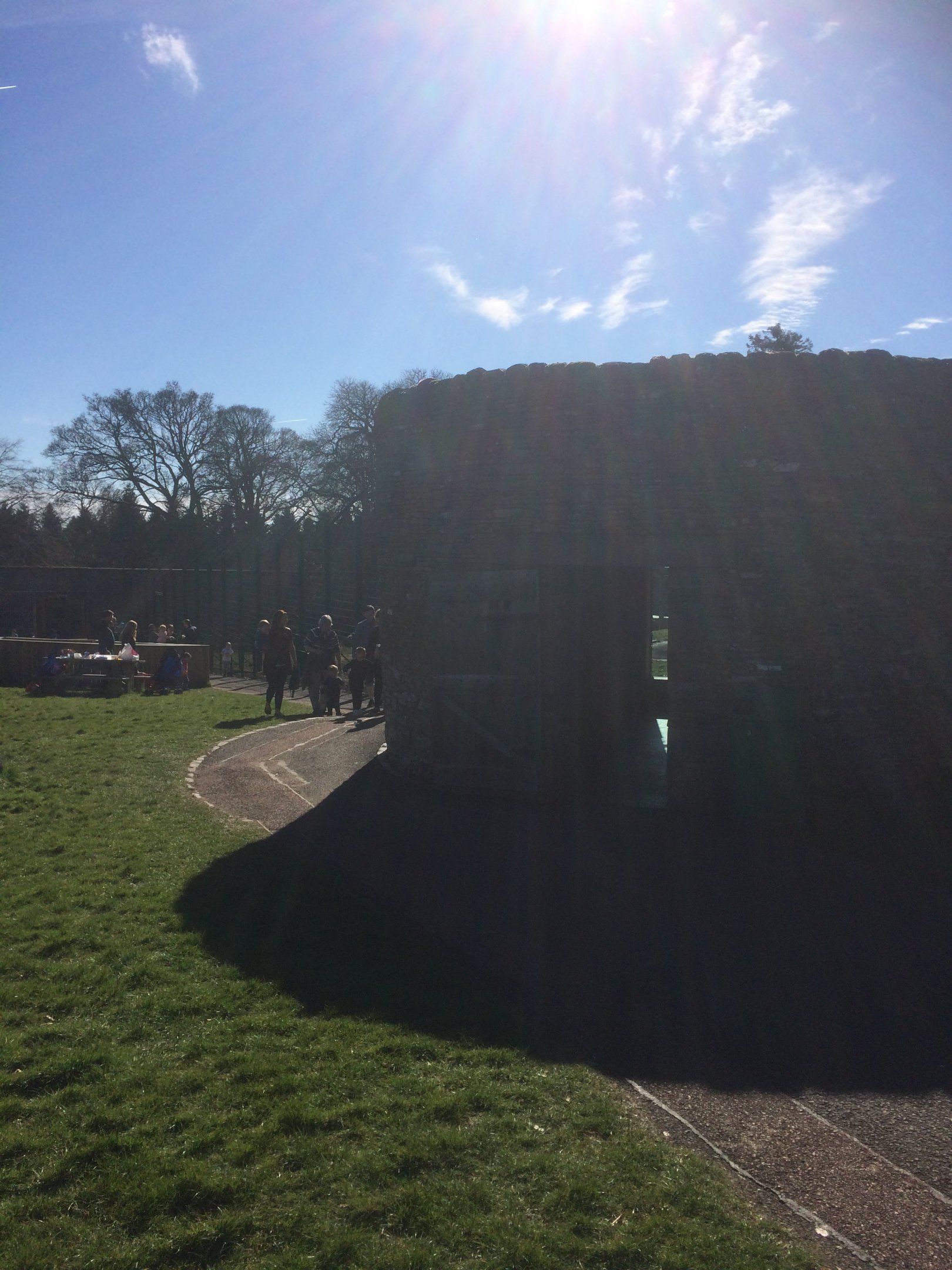 Bear tower viewing area