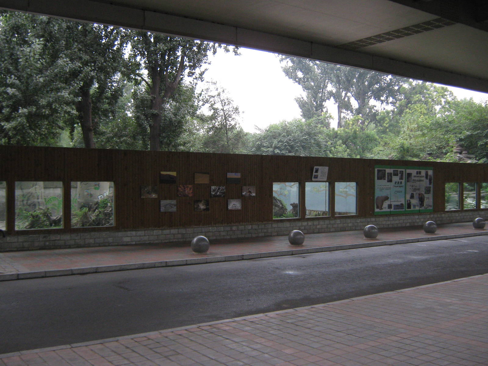 bear viewing and signage