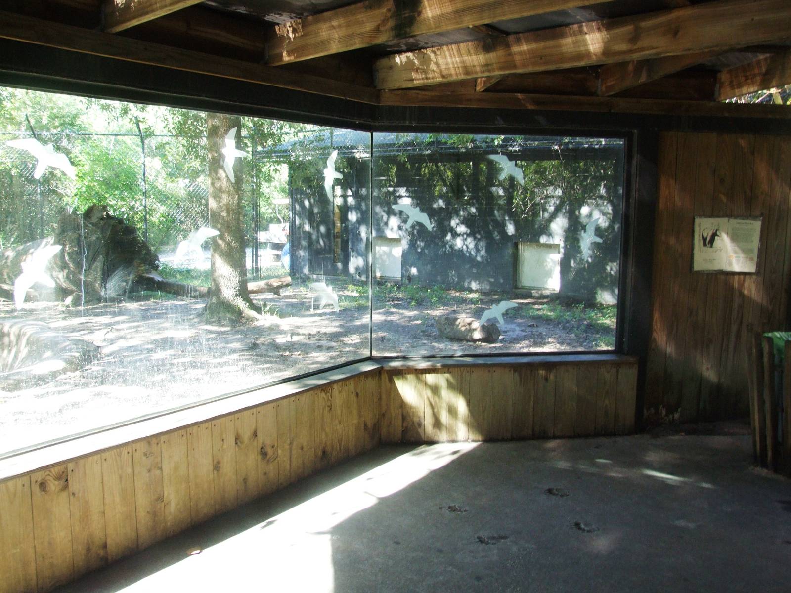 Bear Viewing at Jacksonville, 10/10/13