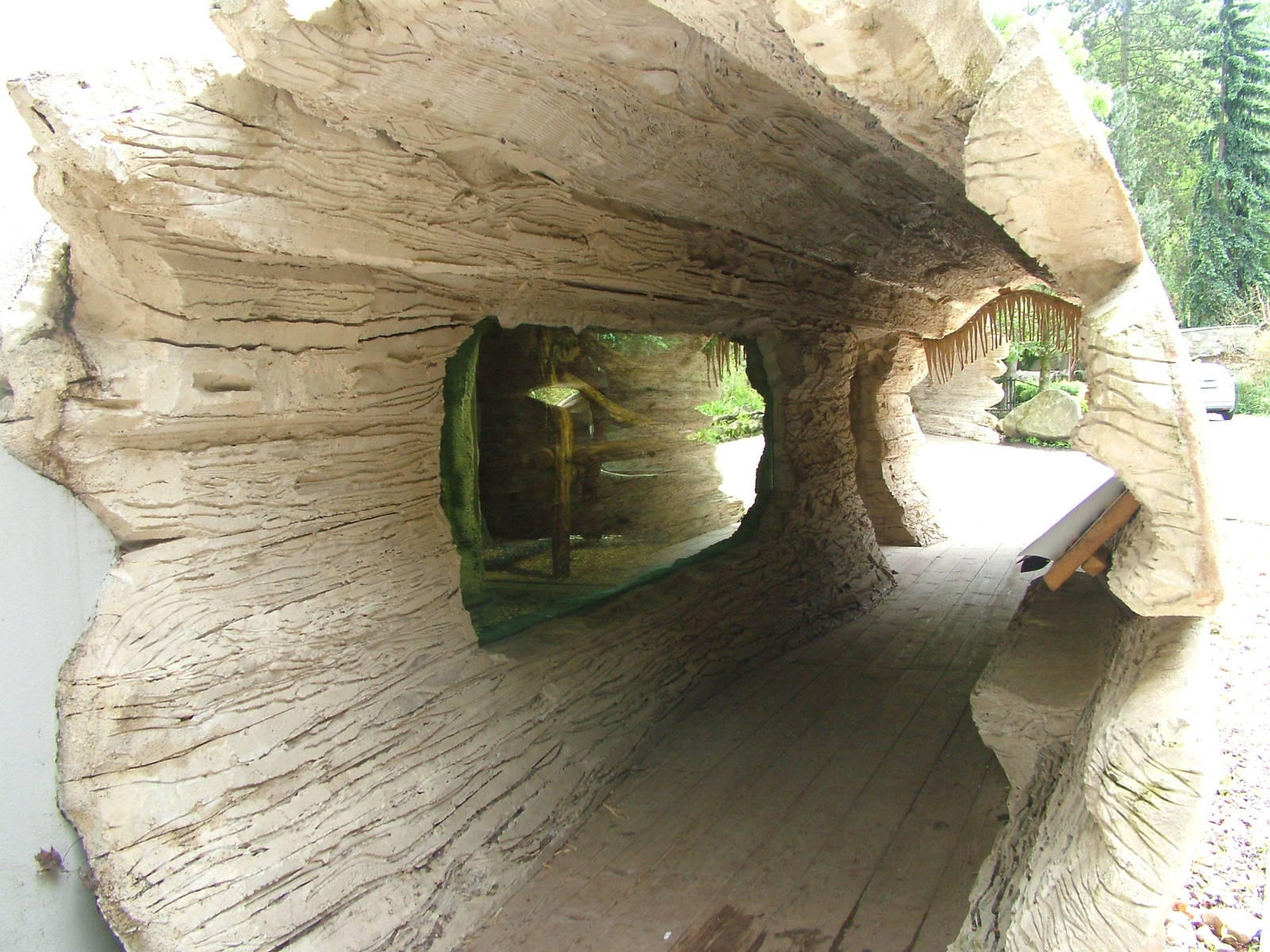 Bear viewing at Jihlava, 31/05/10