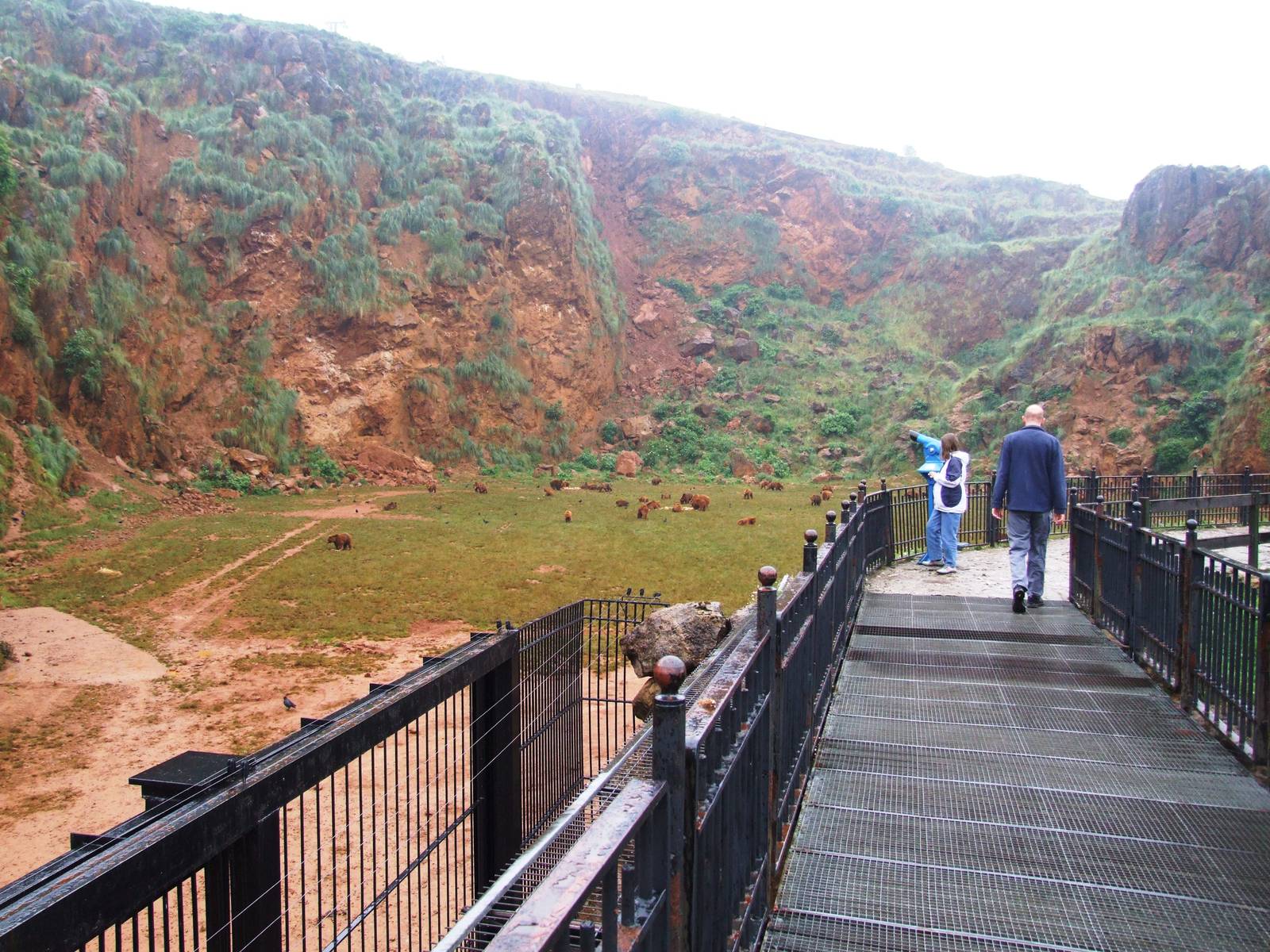 Bear Viewing Platform at Cabarceno, 11/06/15