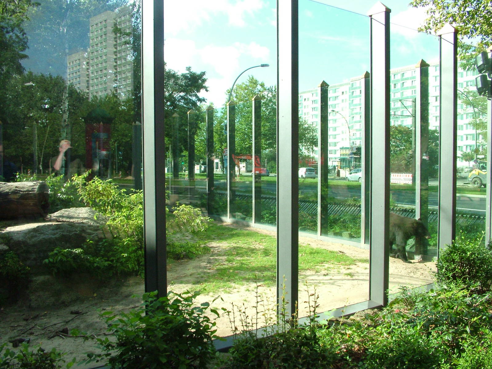 'Bear Window' Exhibit at Tierpark Berlin, 30/08/11