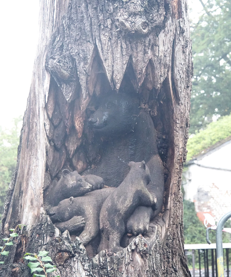 Bear with cubs in den trunk carving, 2022-09-14