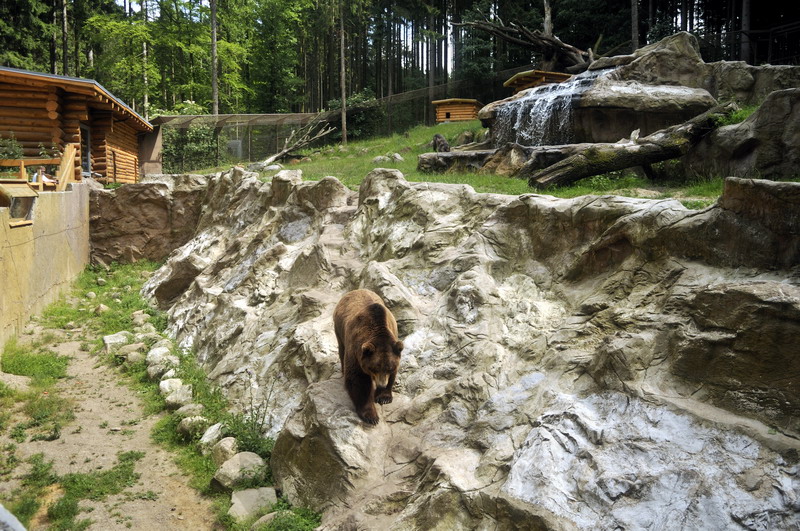 Bear / wolf-enclosure at Lüneburger Heide.