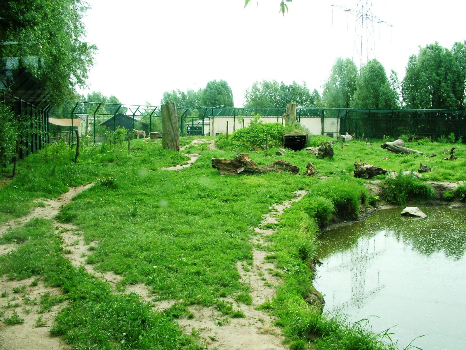 Bear/Wolf Exhibit at Dierenrijk, 31/05/12