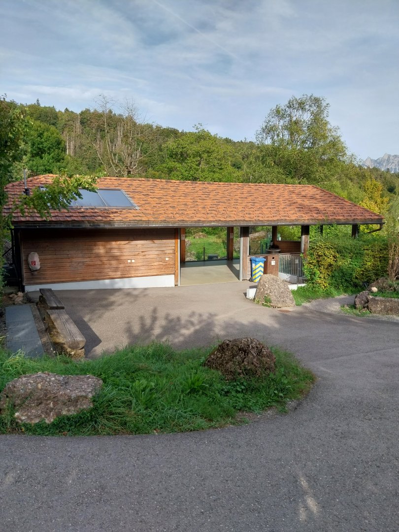 Bear & Wolf tour - Expo bear und wolf viewing point