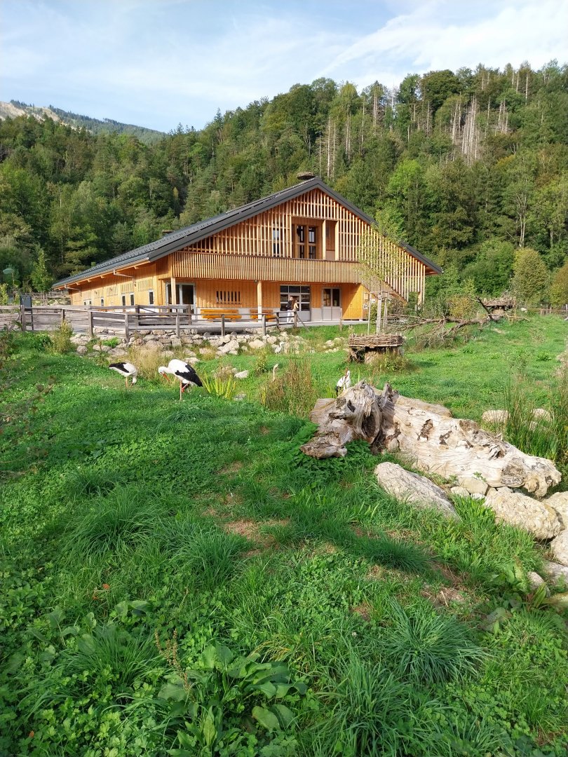 Bear & Wolf tour - Grosswijer hof