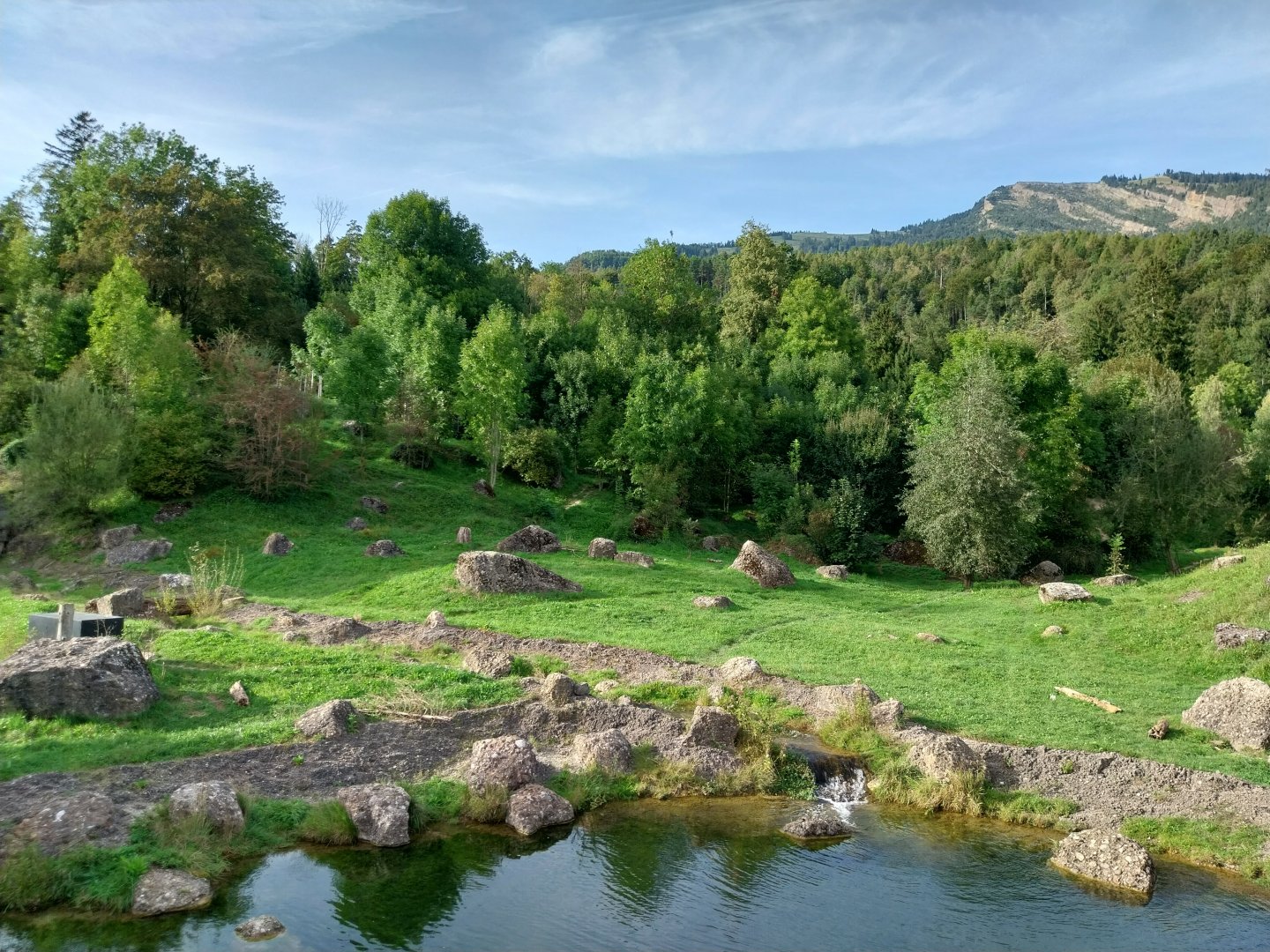 Bear & Wolf tour - Mixed enclosure