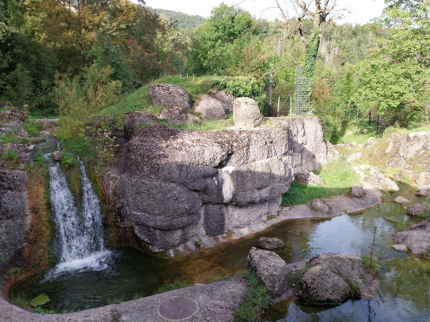 Bear & Wolf tour - Syrian brown bear enclosure