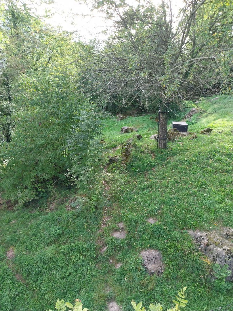 Bear & Wolf tour - Wolf enclosure
