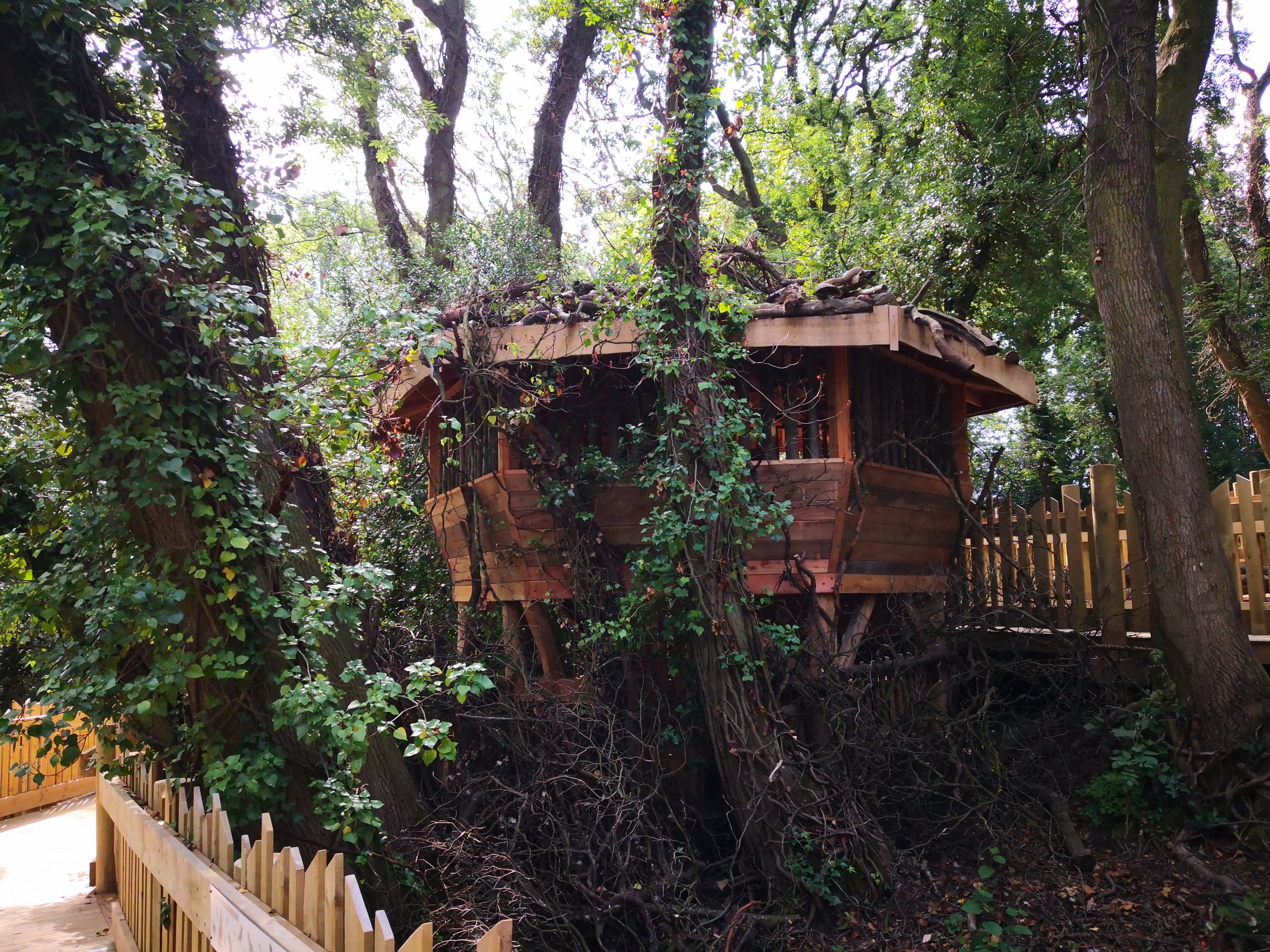 Bear Wood bird hide