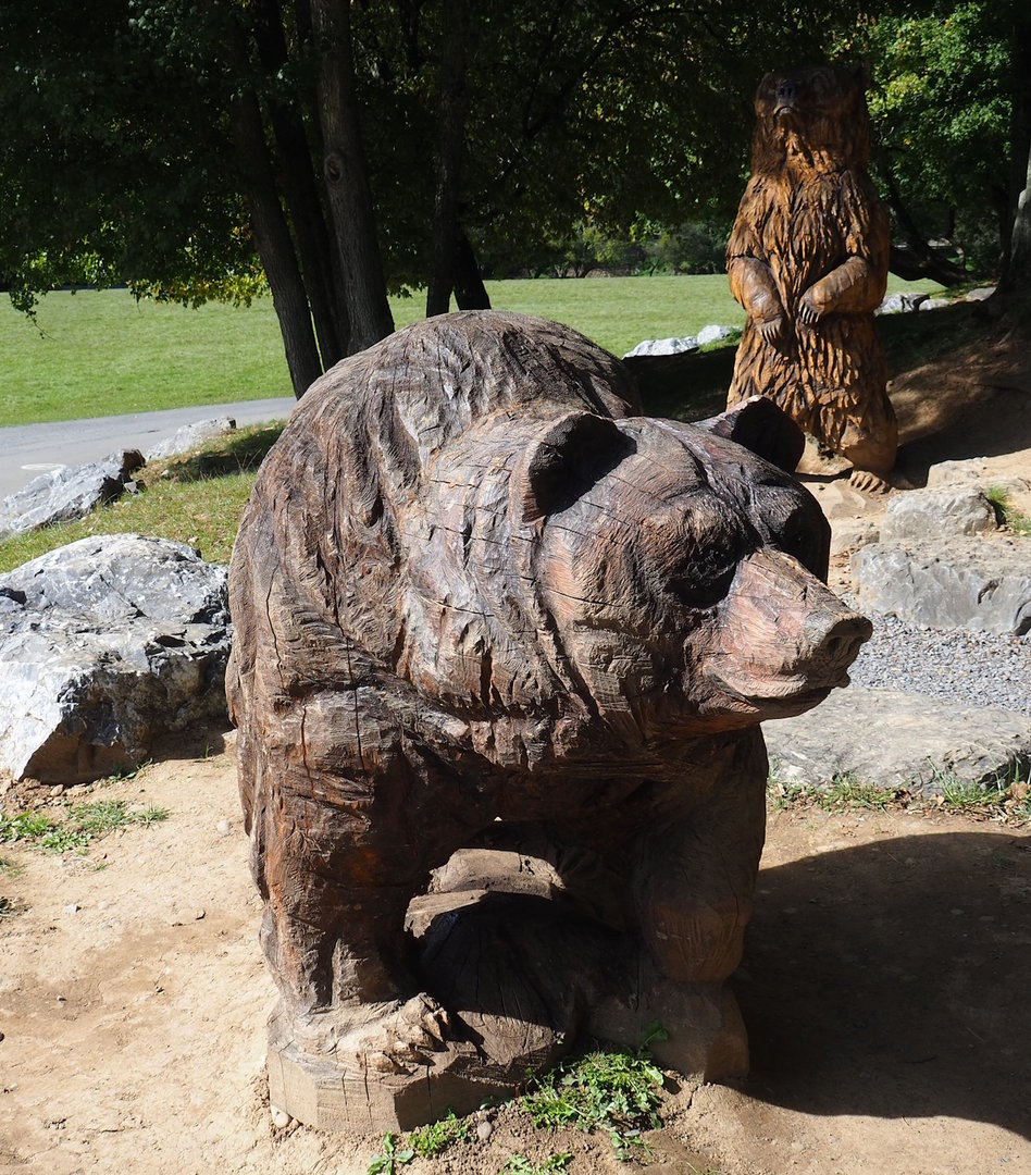 Bear wood carvings, 2023-09-26