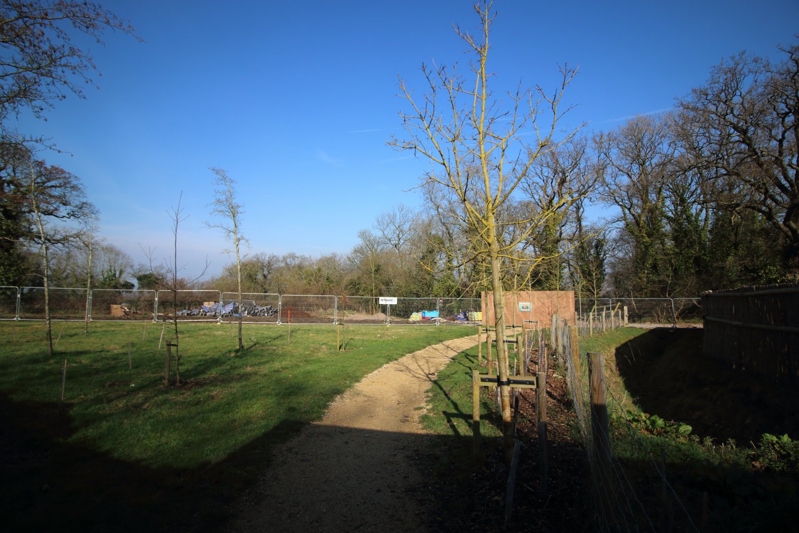 Bear Wood construction in progress