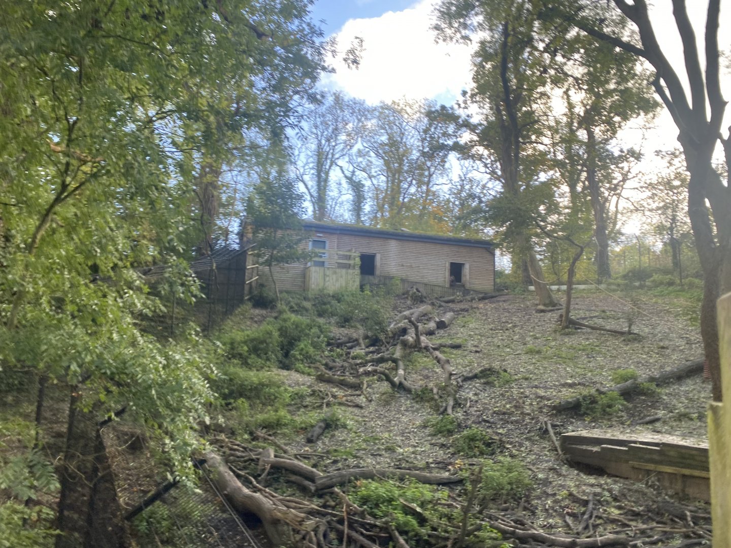 Bear Wood - European brown bear enclosure 051123