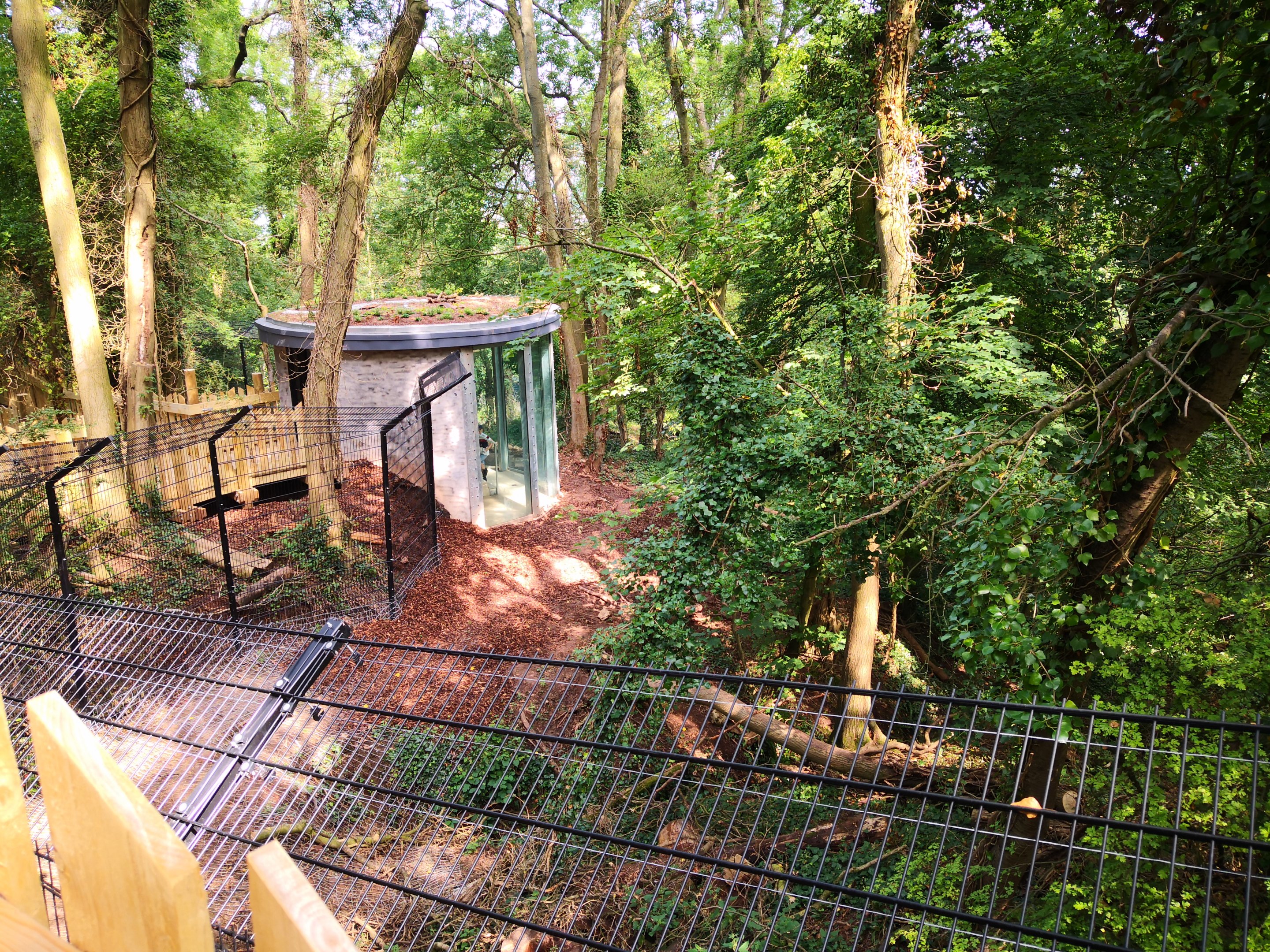 Bear Wood glass viewing area and exhibit