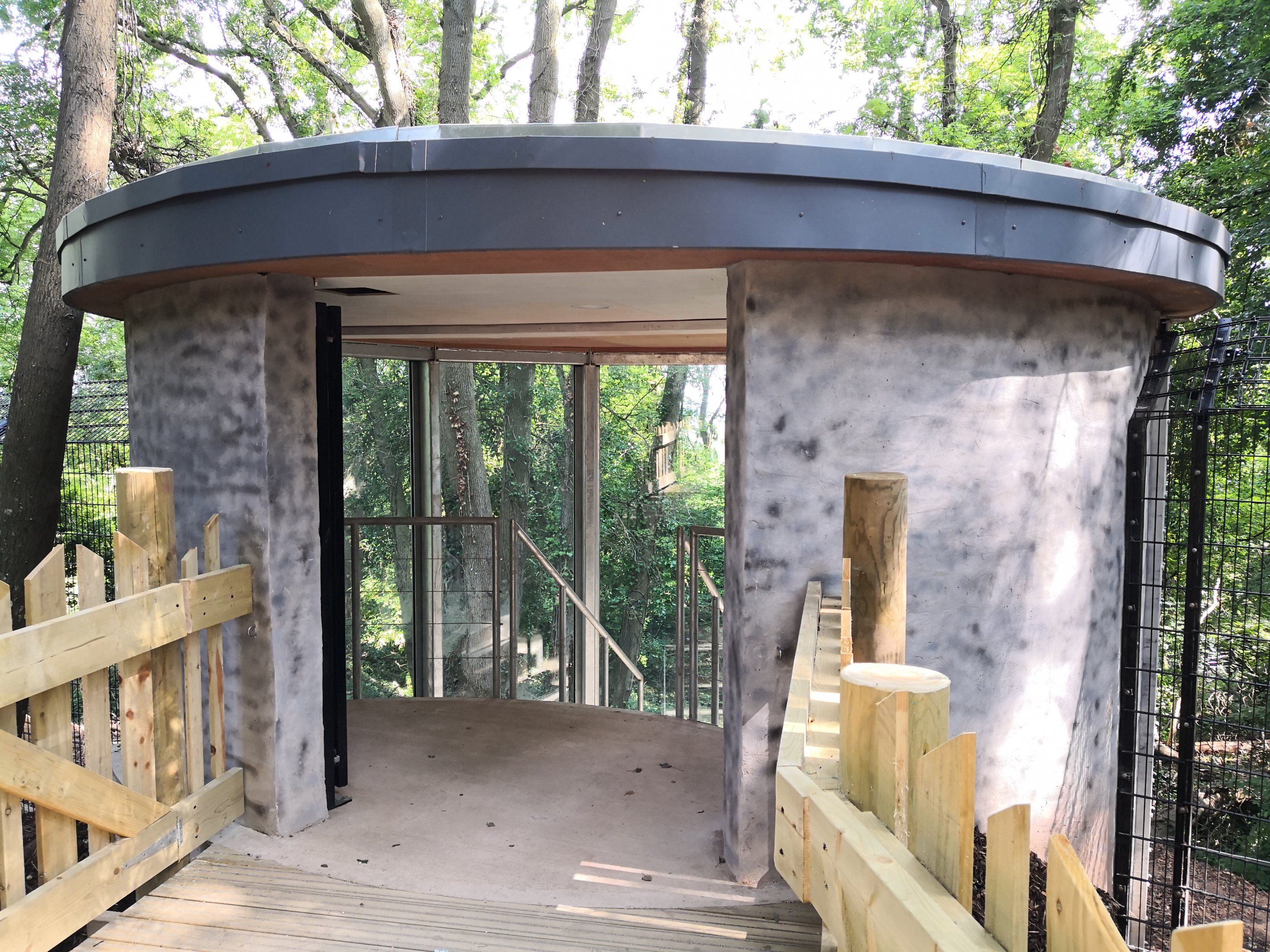 Bear Wood glass viewing area