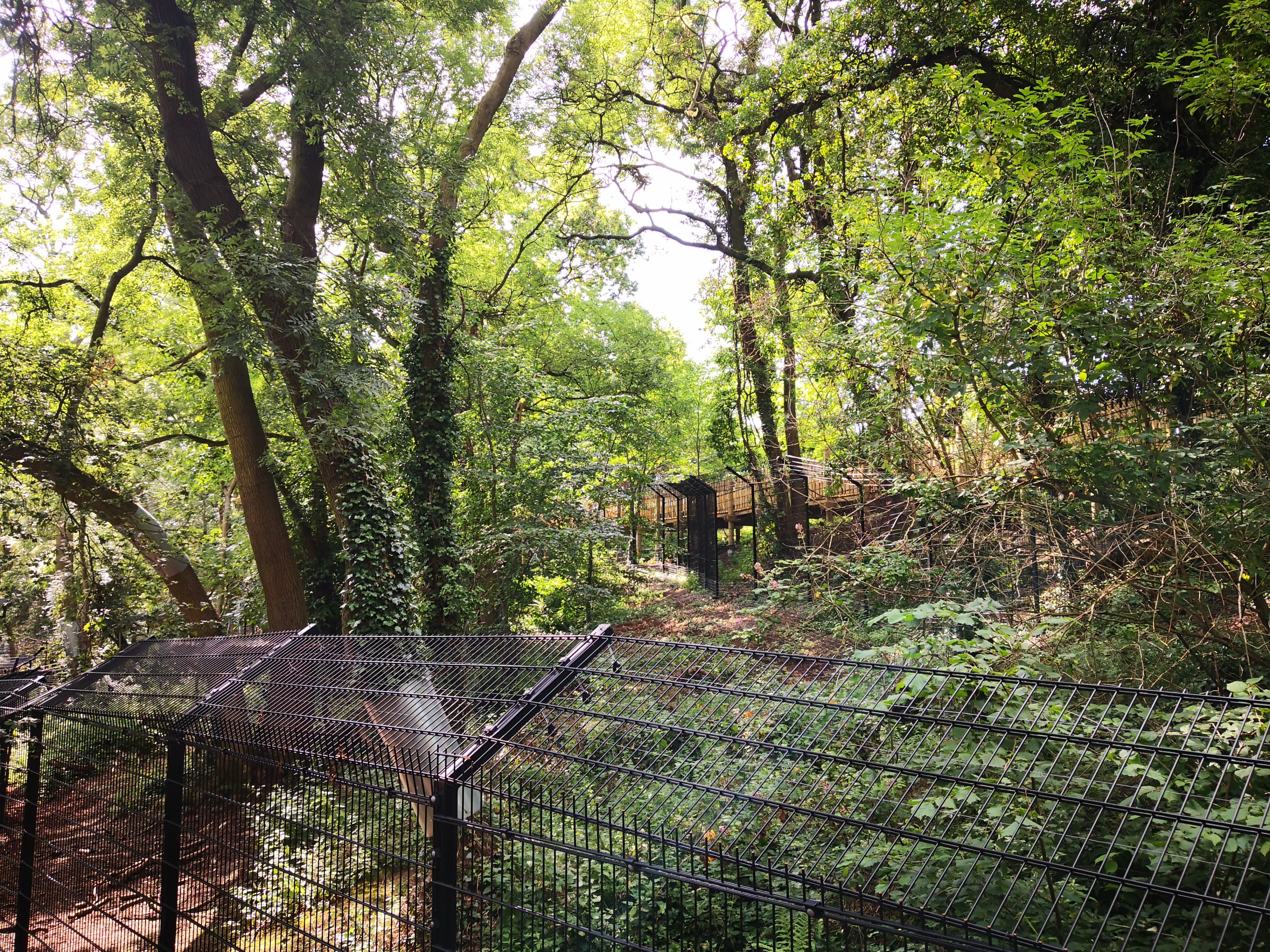 Bear Wood lynx exhibit