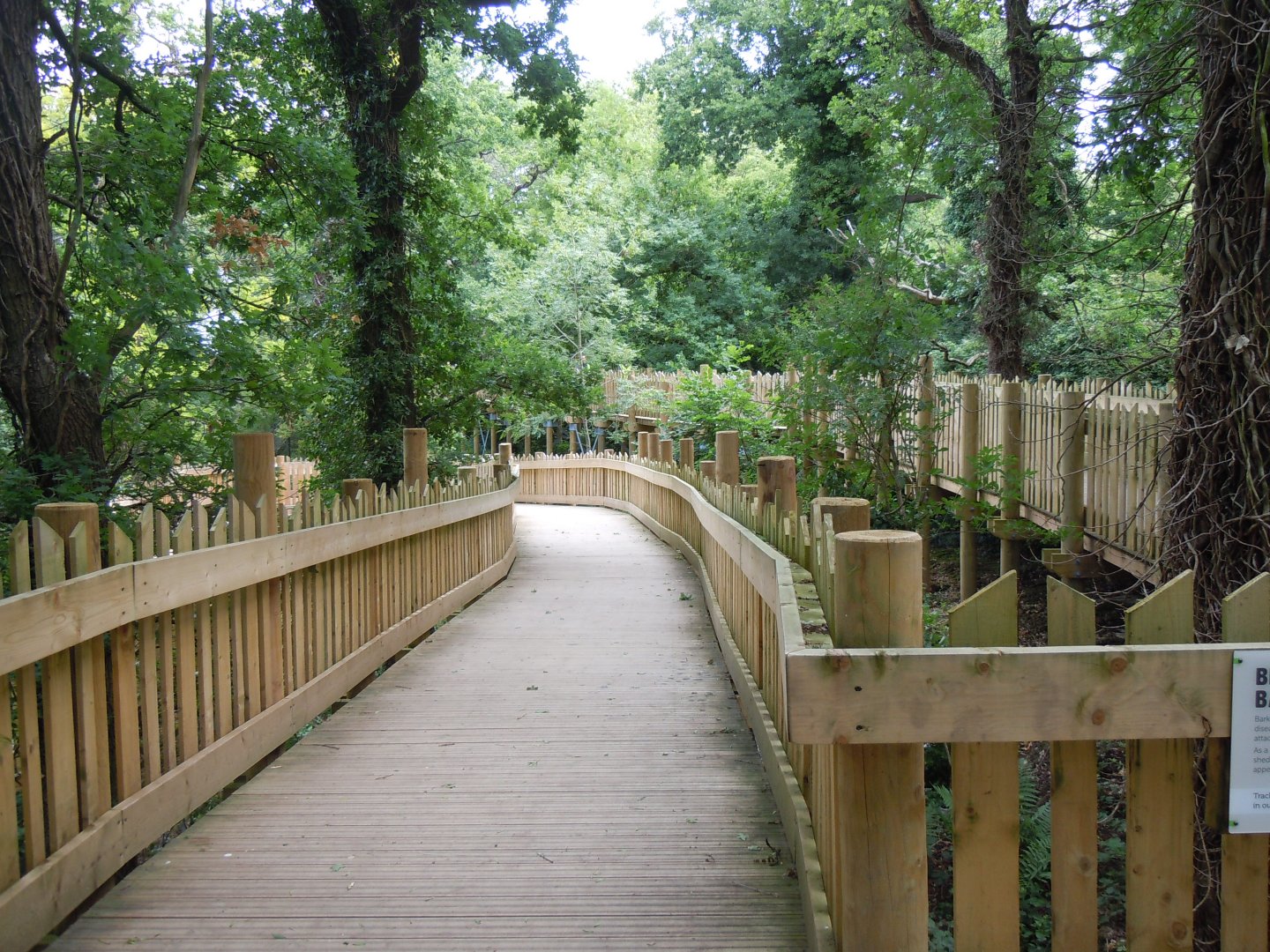 Bear Wood walkways 290620