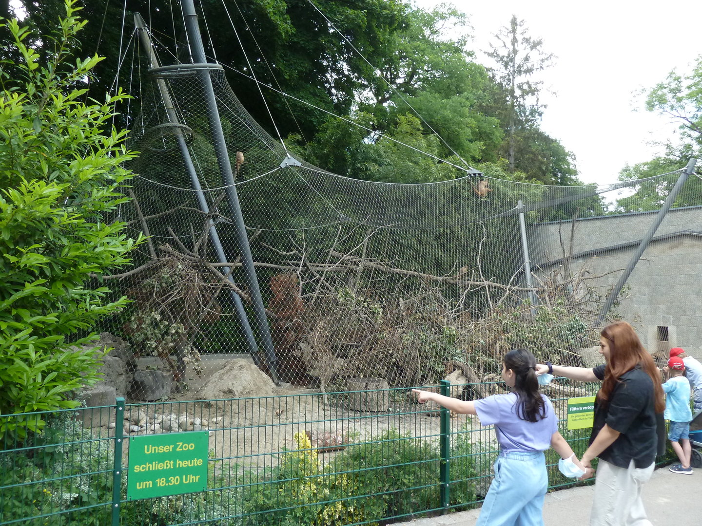 Bearded capuchin aviary
