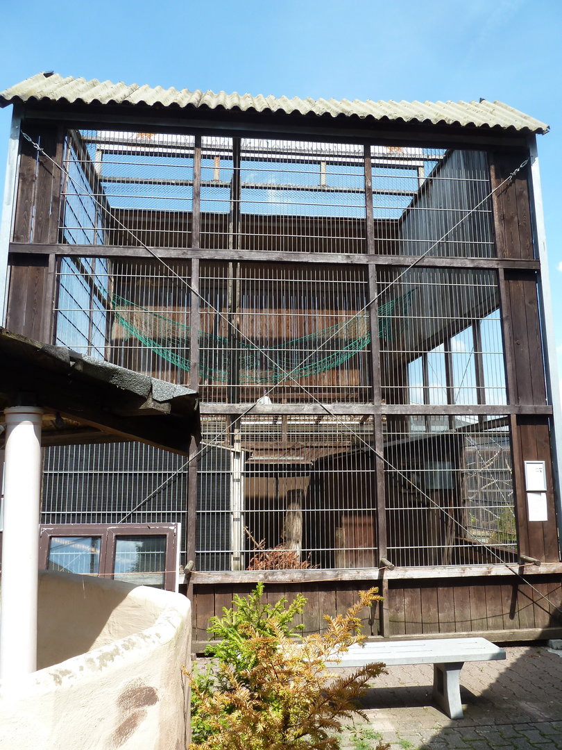 Bearded capuchin enclosure