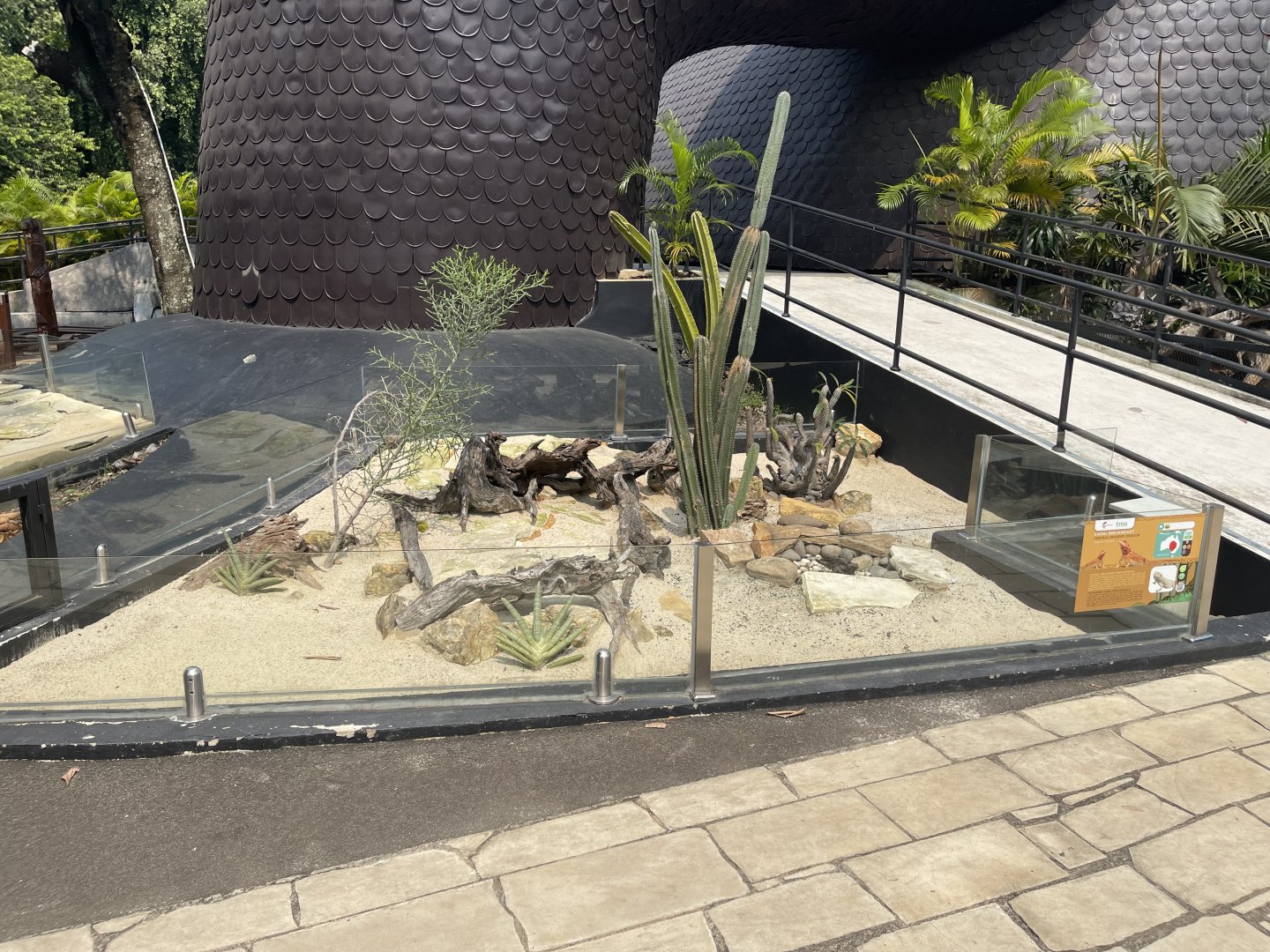 bearded dragon exhibit - museum komodo