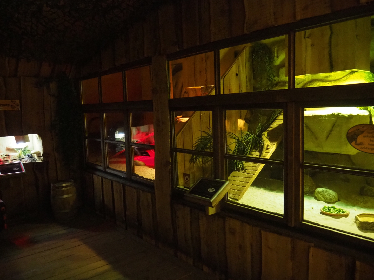 Bearded dragon terrariums