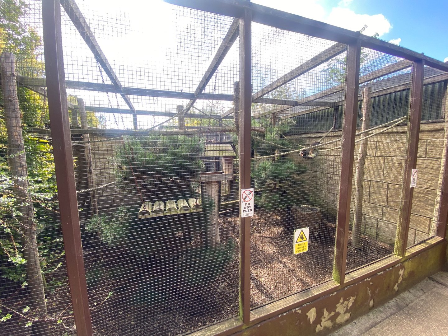Bearded emperor tamarin enclosure 140923