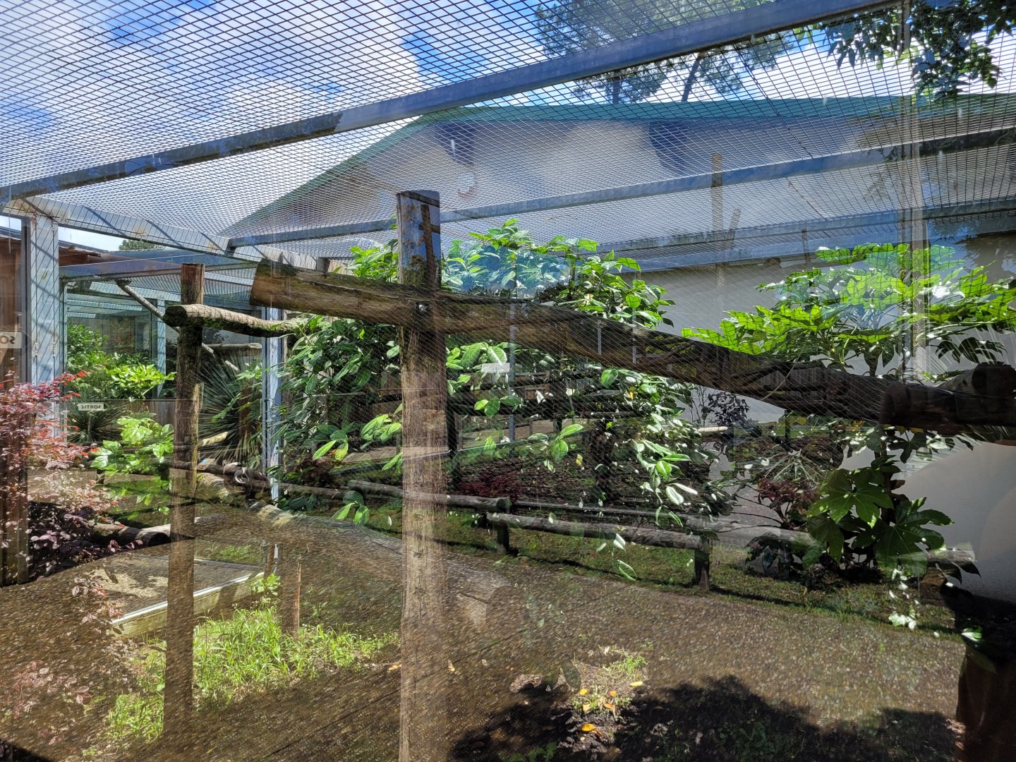 Bearded emperor tamarin exhibit -Zoo du bassin d'Arcachon (2024)