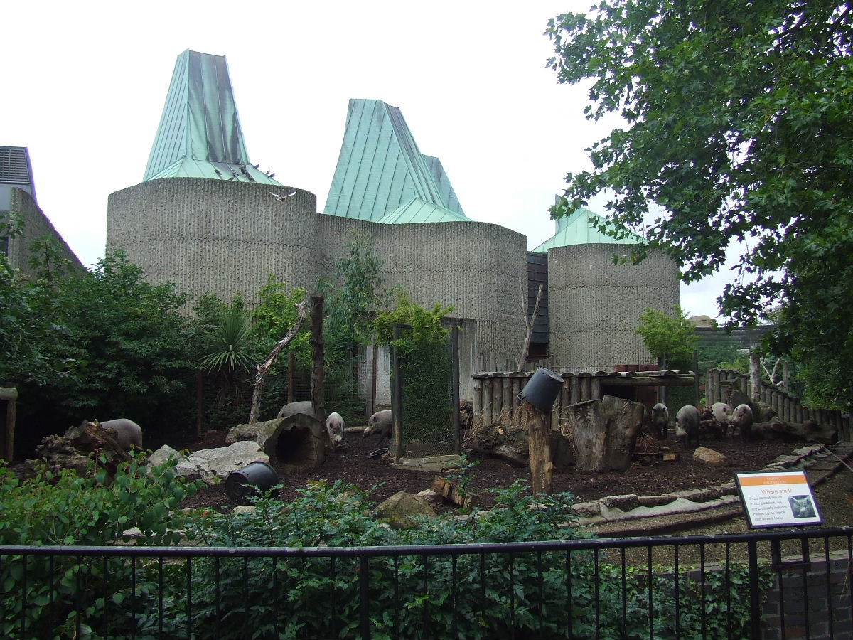 Bearded Pig enclosure, Casson Pavilion