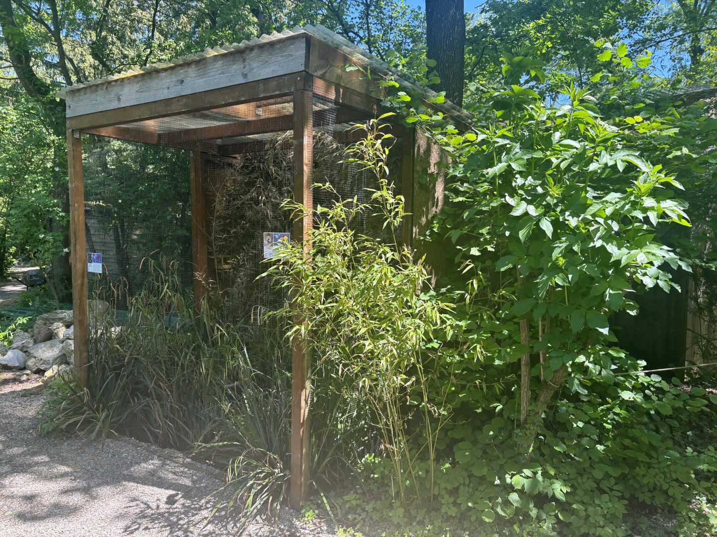 Bearded Reedling and Spotted Crake Enclosure