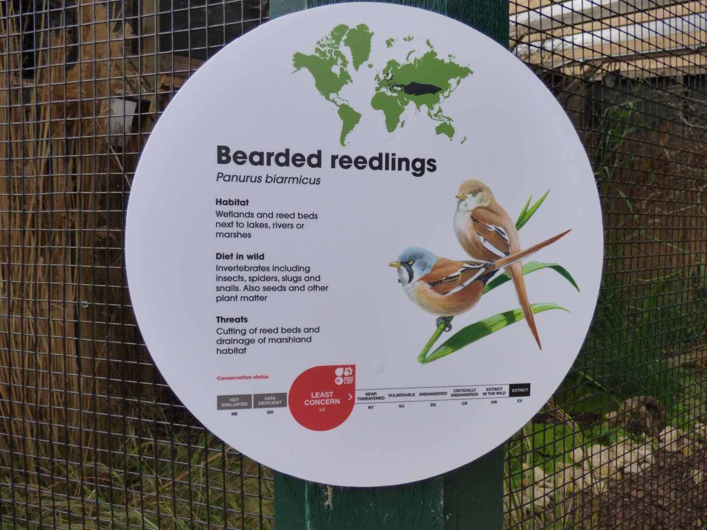 Bearded Reedlings Signage