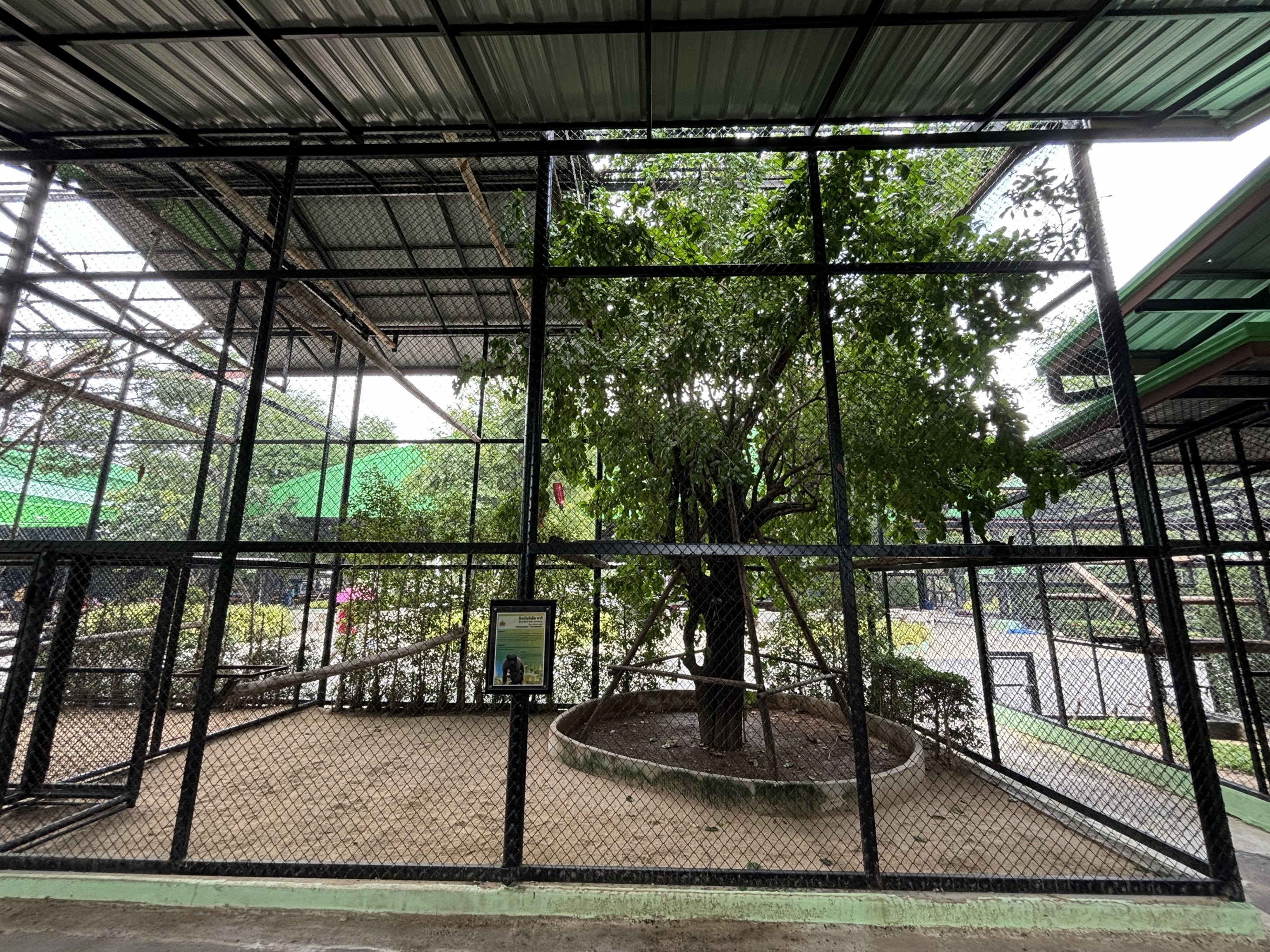 Bearded Saki Exhibit - Lion Park