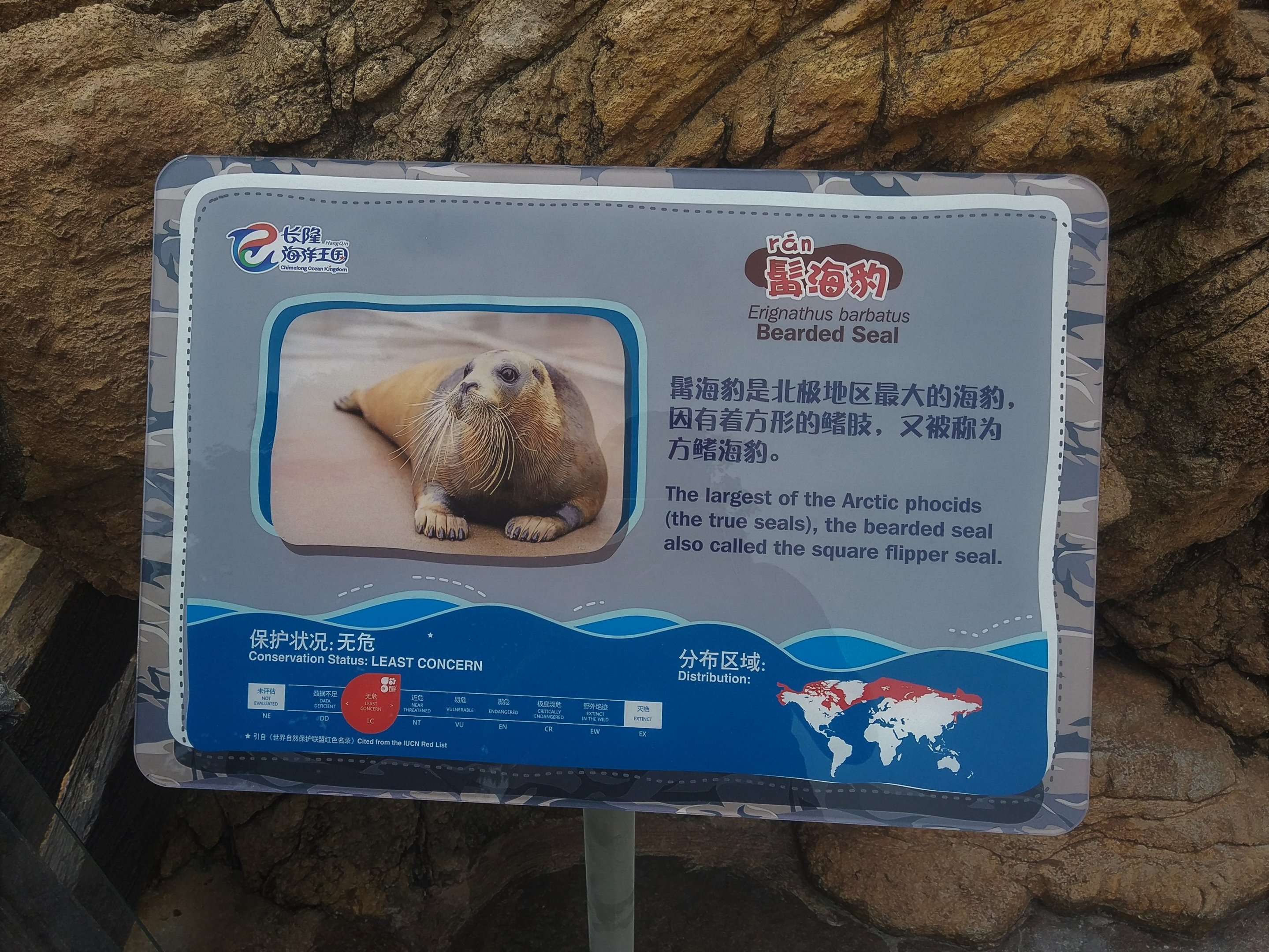 Bearded Seal Signage