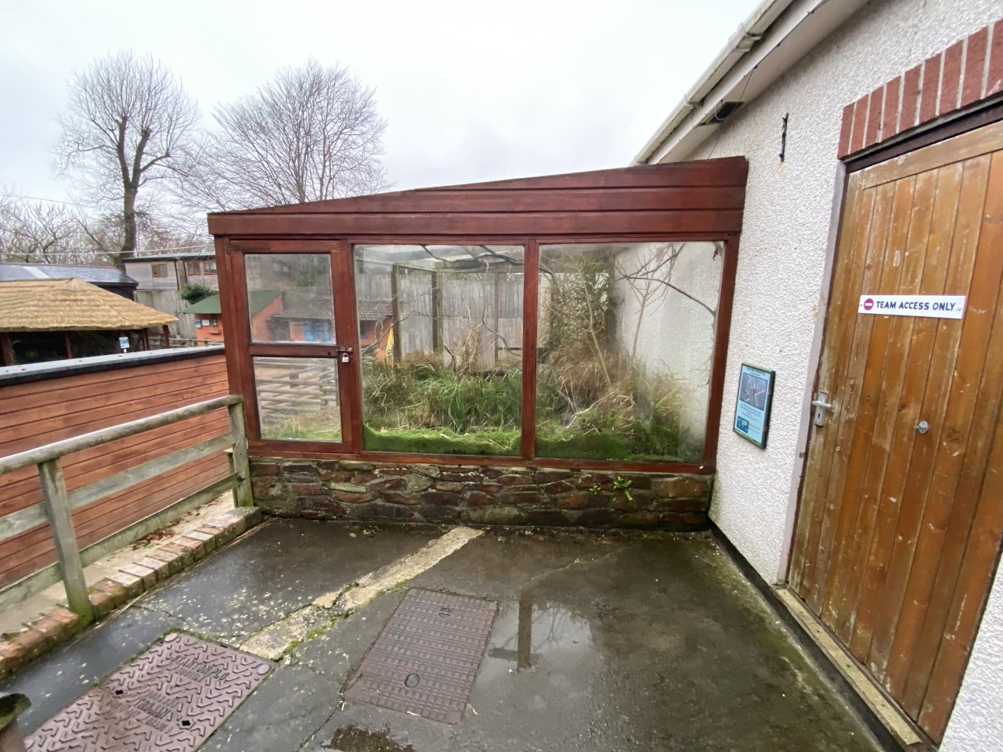 Bearded tit aviary 111221