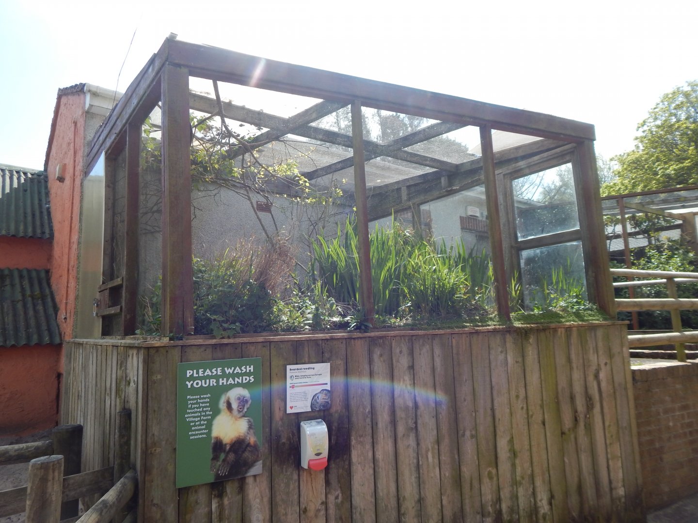 Bearded tit aviary 240424