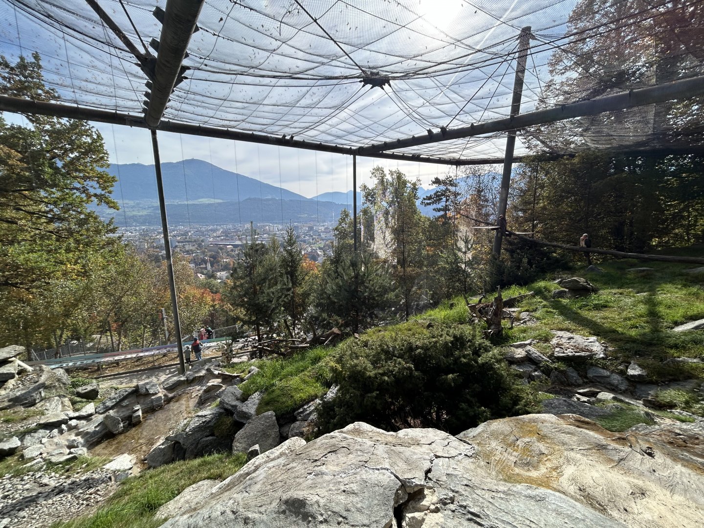 Bearded Vulture & Alpine Marmot Aviary