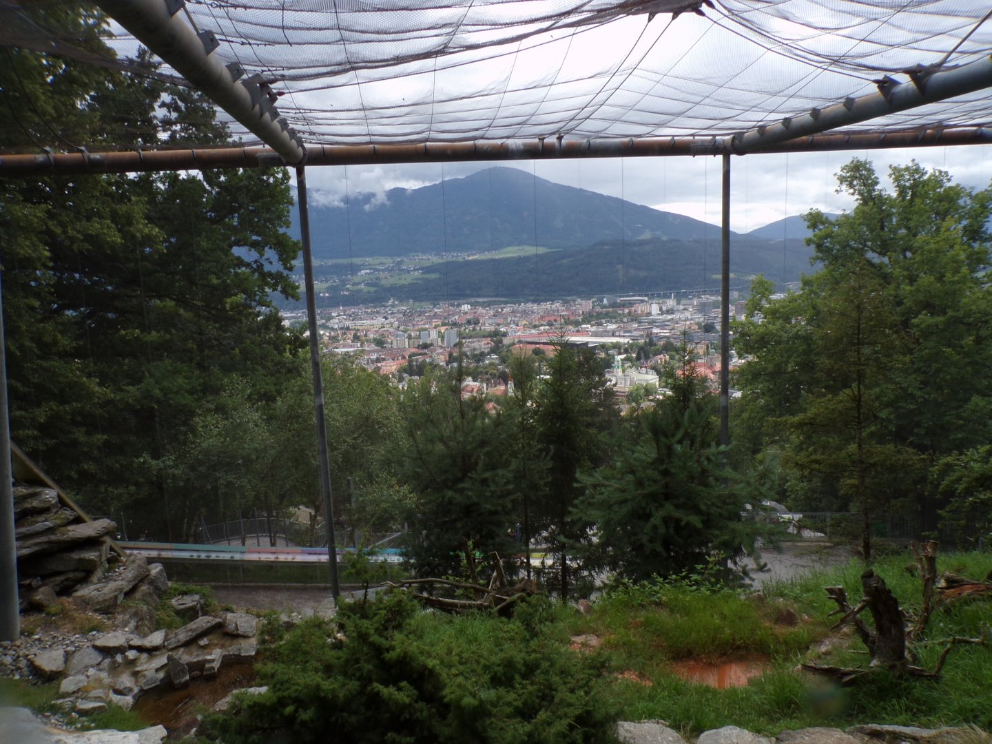 Bearded vulture and Alpine marmot aviary 9.7.25