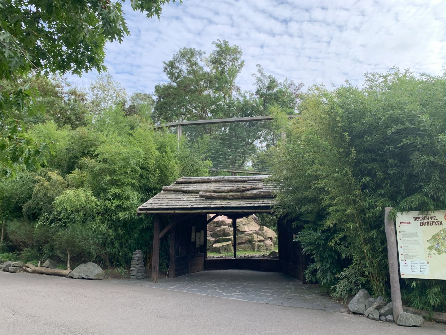 Bearded Vulture and Tibetan White Eared-pheasant aviary