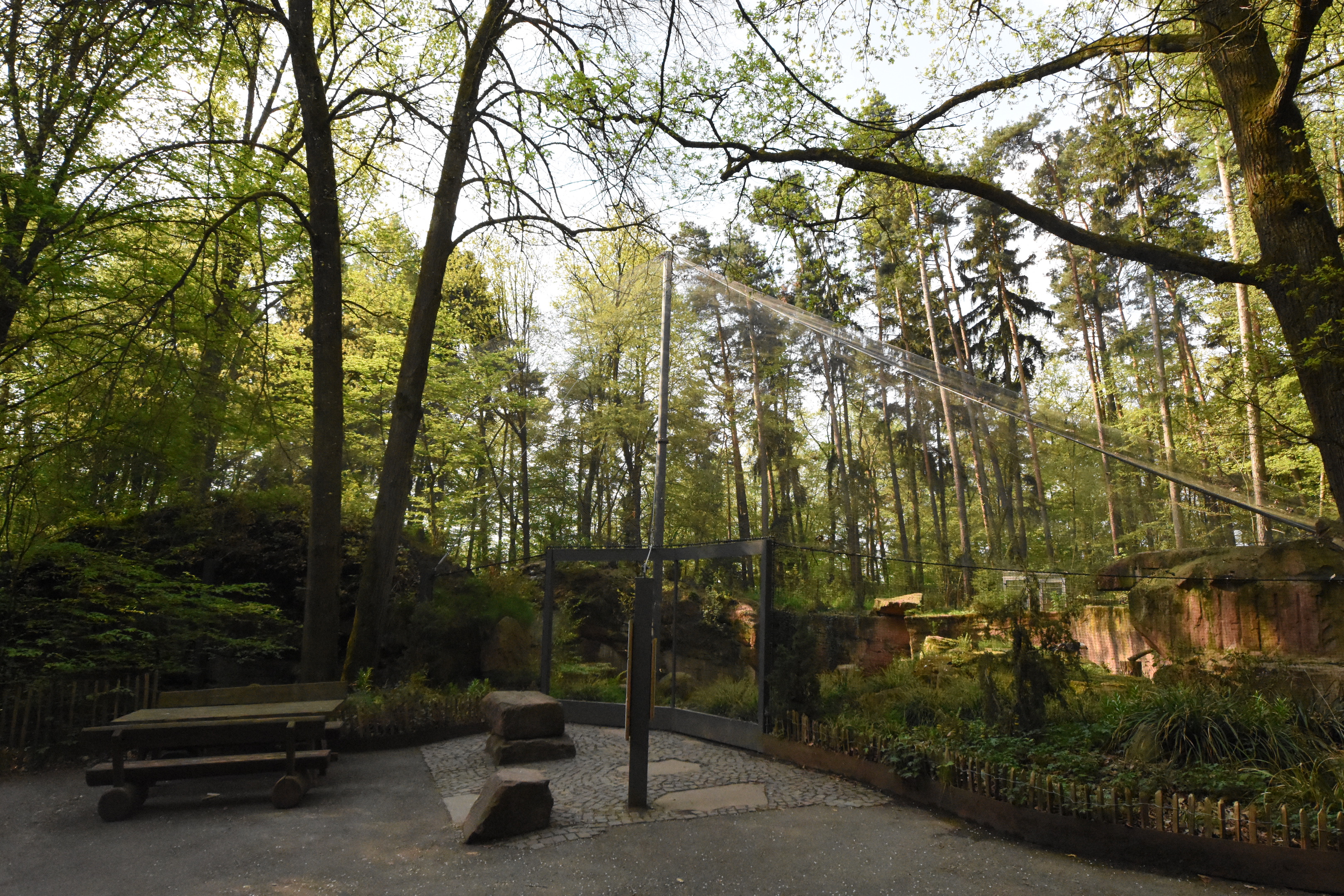 Bearded vulture aviary from above